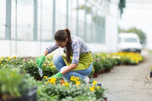 A woman wearing a plaid shirt, blue jeans, and green gardening gloves is kneeling on a paved path in a garden, carefully tending to flowering plants that are in small pots arranged in a row alongside her. The garden features a well-maintained grassy area with lush, dense green turf in the foreground, and a variety of colorful flowers, predominantly yellow, in flower beds bordered with soil along the path. In the background, there are tall glass greenhouse panels reflecting light and a white vehicle parked outside, indicating a professional gardening or landscaping environment in Willesden. The scene is set during daylight with bright, natural lighting, emphasizing the vibrant colours of the flowers and the greenery. This image, associated with hedgetrimmingwillesden.co.uk, illustrates dedicated plant care and garden maintenance activities typical of professional gardening services in the Willesden area, highlighting the lush outdoor spaceâ€™s healthy, landscaped appearance and the detailed work involved in flower planting and garden upkeep.