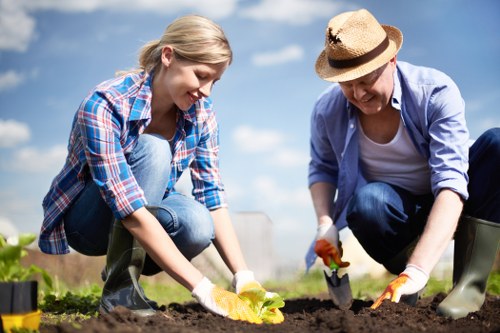 Professional garden clearance service in Willesden
