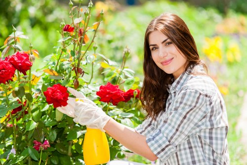 Gardener measuring hedges for quote