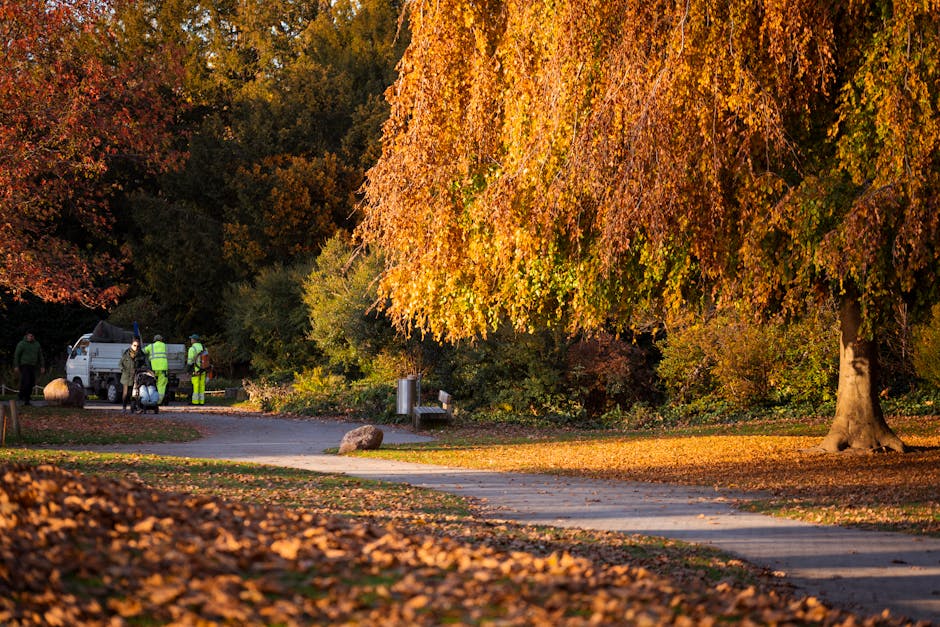 A spacious park scene featuring a well-maintained grassy lawn with short, trimmed grass and areas of slightly longer grass, bordered by mature deciduous trees with lush green foliage, some with dark p