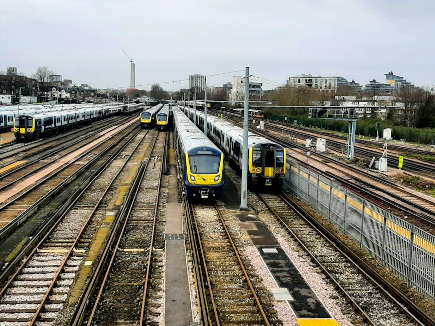 A black-and-white photograph depicts a railway line running through an outdoor environment with dense, leafy trees lining both sides of the tracks. The trees on the left side include a tall, slender t